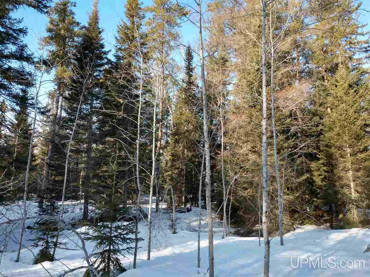 39-acres 39-acres Co Road Ishpeming, MI 49849 - Photo 25 of 39