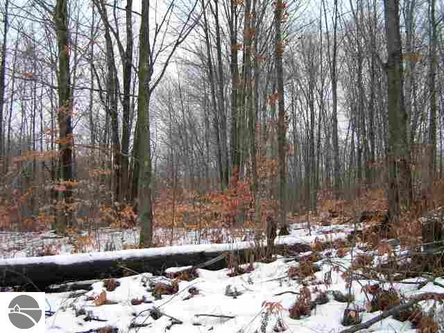 D Valley Road Mancelona, MI 49659 - Photo 1 of 3 1642724.JPG