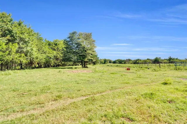 a huge green field with lots of trees