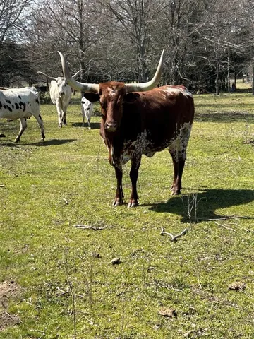 a view of swimming pool with outdoor seating