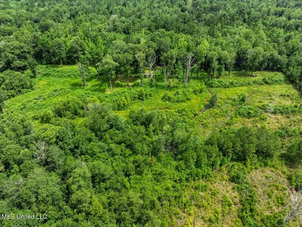 $165,000 | 0 Hwy 98 New Augusta Ms 39462, New Augusta, MS 39462