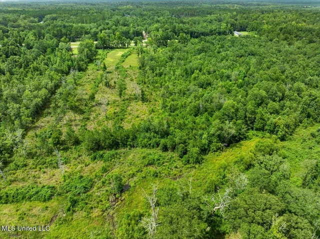 $165,000 | 0 Hwy 98 New Augusta Ms 39462, New Augusta, MS 39462