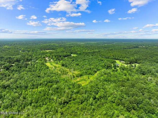 $165,000 | 0 Hwy 98 New Augusta Ms 39462, New Augusta, MS 39462