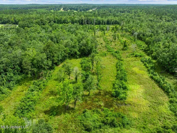 $165,000 | 0 Hwy 98 New Augusta Ms 39462, New Augusta, MS 39462