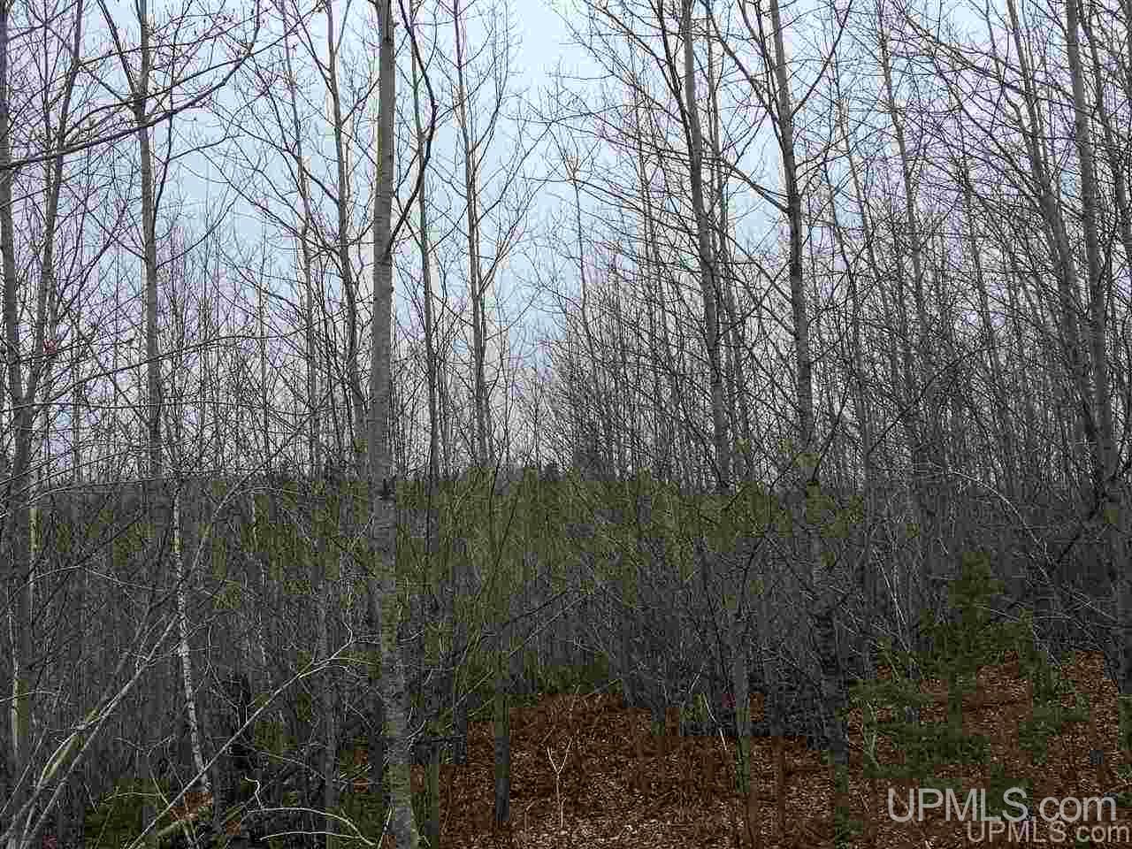 Off Off Co Road Republic, MI 49879 - Photo 8 of 9