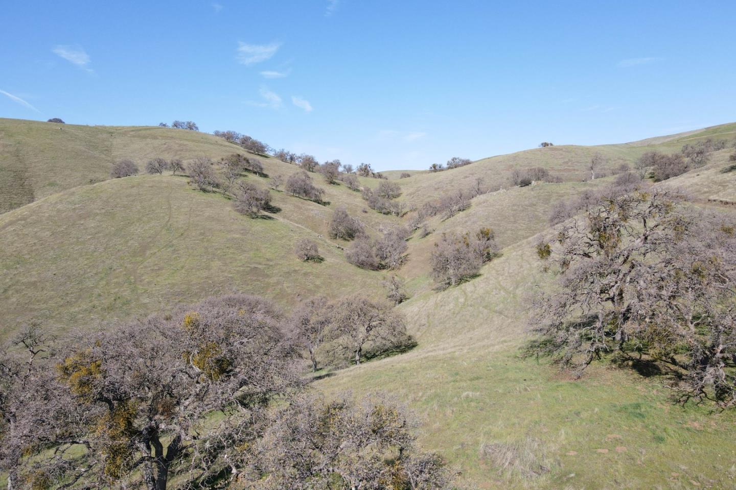 20041 Panoche Road Paicines, CA 95043 - Photo 6 of 10 a view of a dry yard with mountains in the background