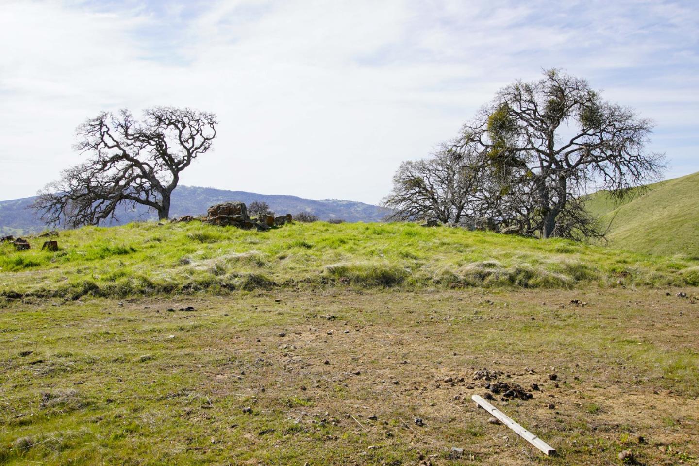 20041 Panoche Road Paicines, CA 95043 - Photo 9 of 10 a view of a garden with a tree