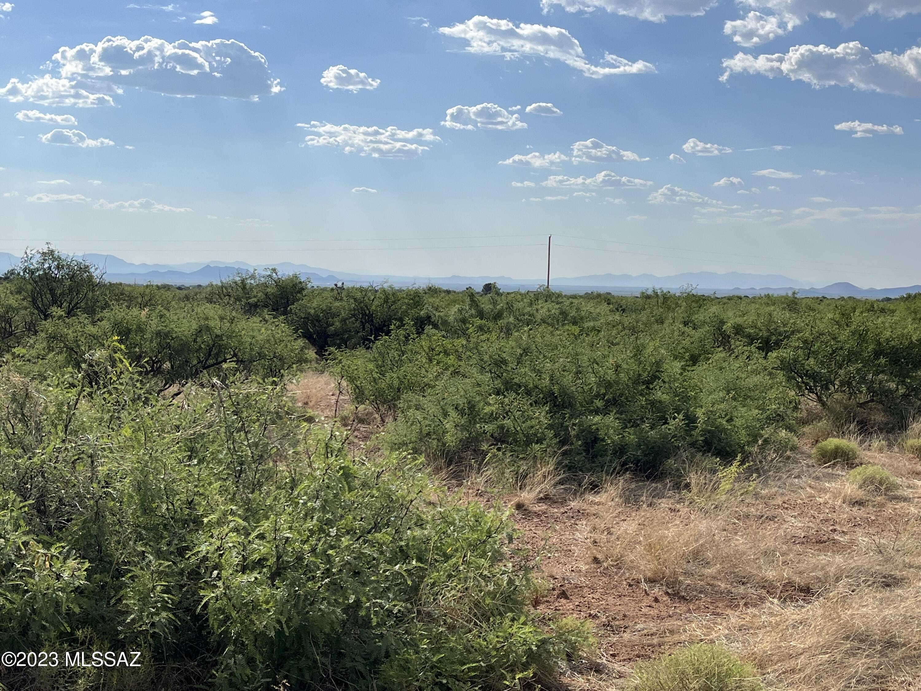 Tbd Turkey Creek Road, Unit 7N Pearce, AZ 85625 - Photo 9 of 10