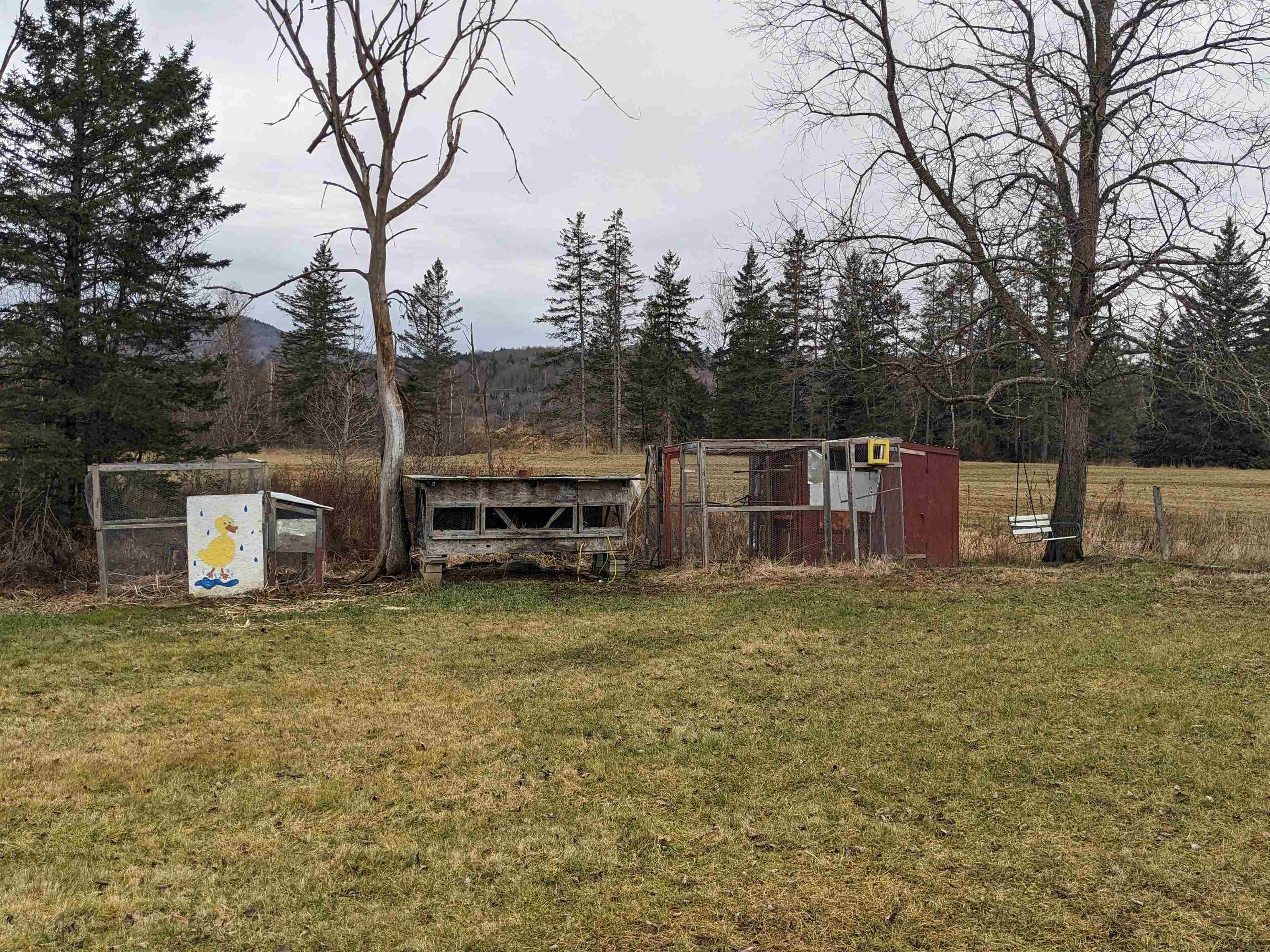339 North Road Lancaster, NH 03584 - Photo 5 of 25
