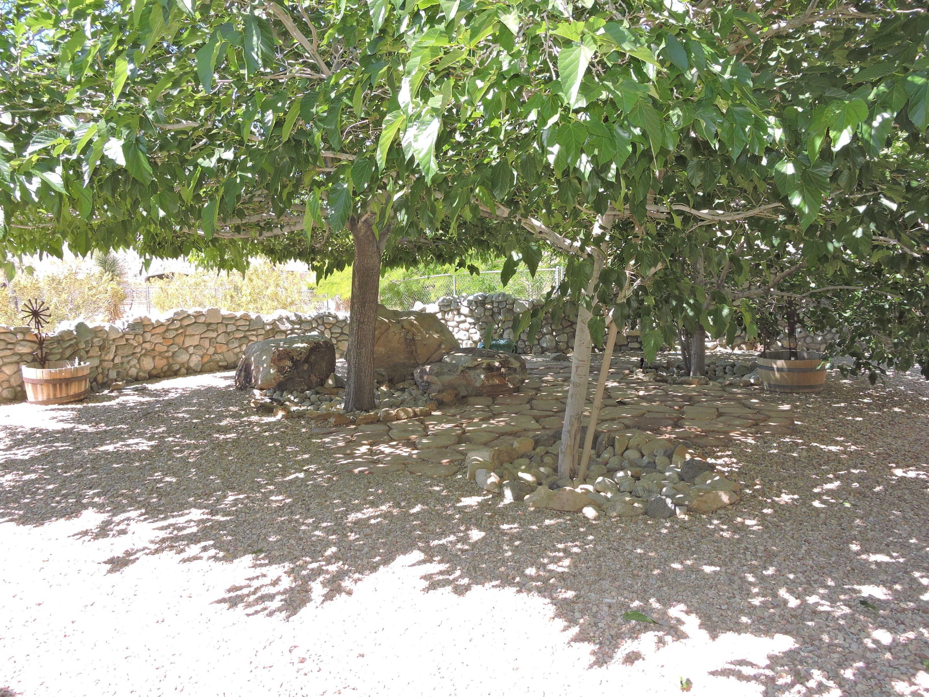 63533 Wagon Wheel Road Joshua Tree, CA 92252 - Photo 3 of 62 a backyard of a house with lots of green space
