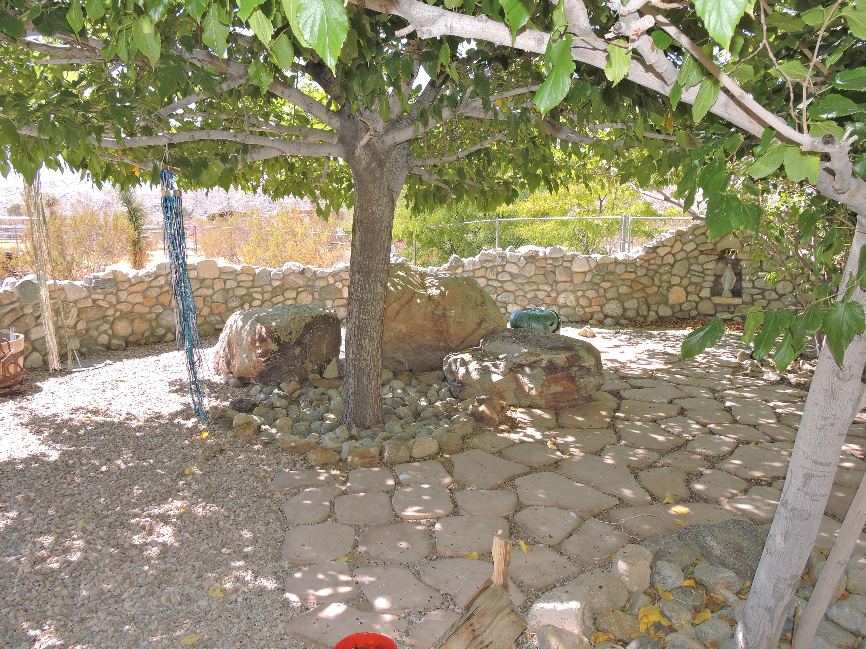63533 Wagon Wheel Road Joshua Tree, CA 92252 - Photo 30 of 62 a view of a yard with a tree