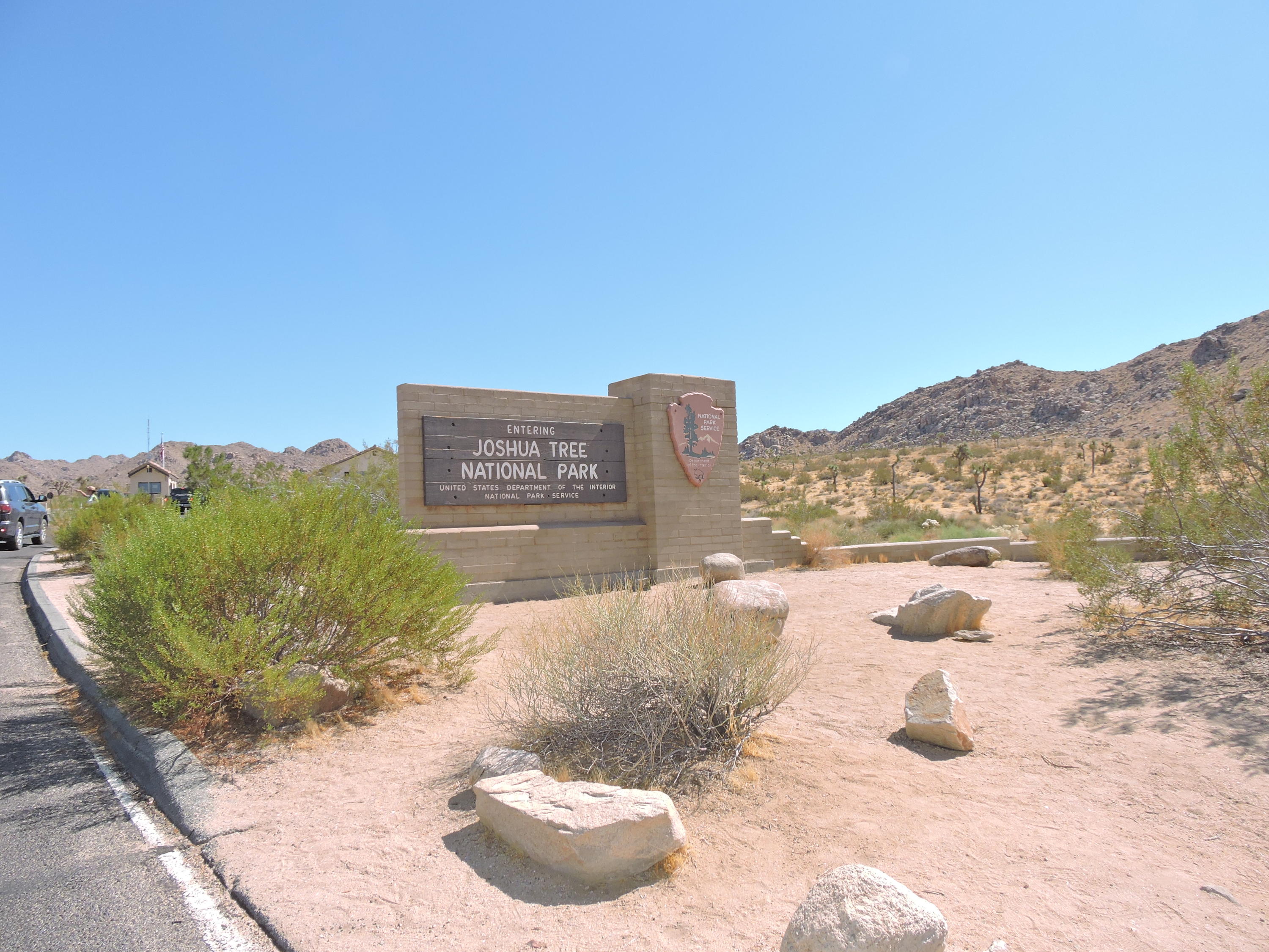 63533 Wagon Wheel Road Joshua Tree, CA 92252 - Photo 34 of 62 DSCN6578