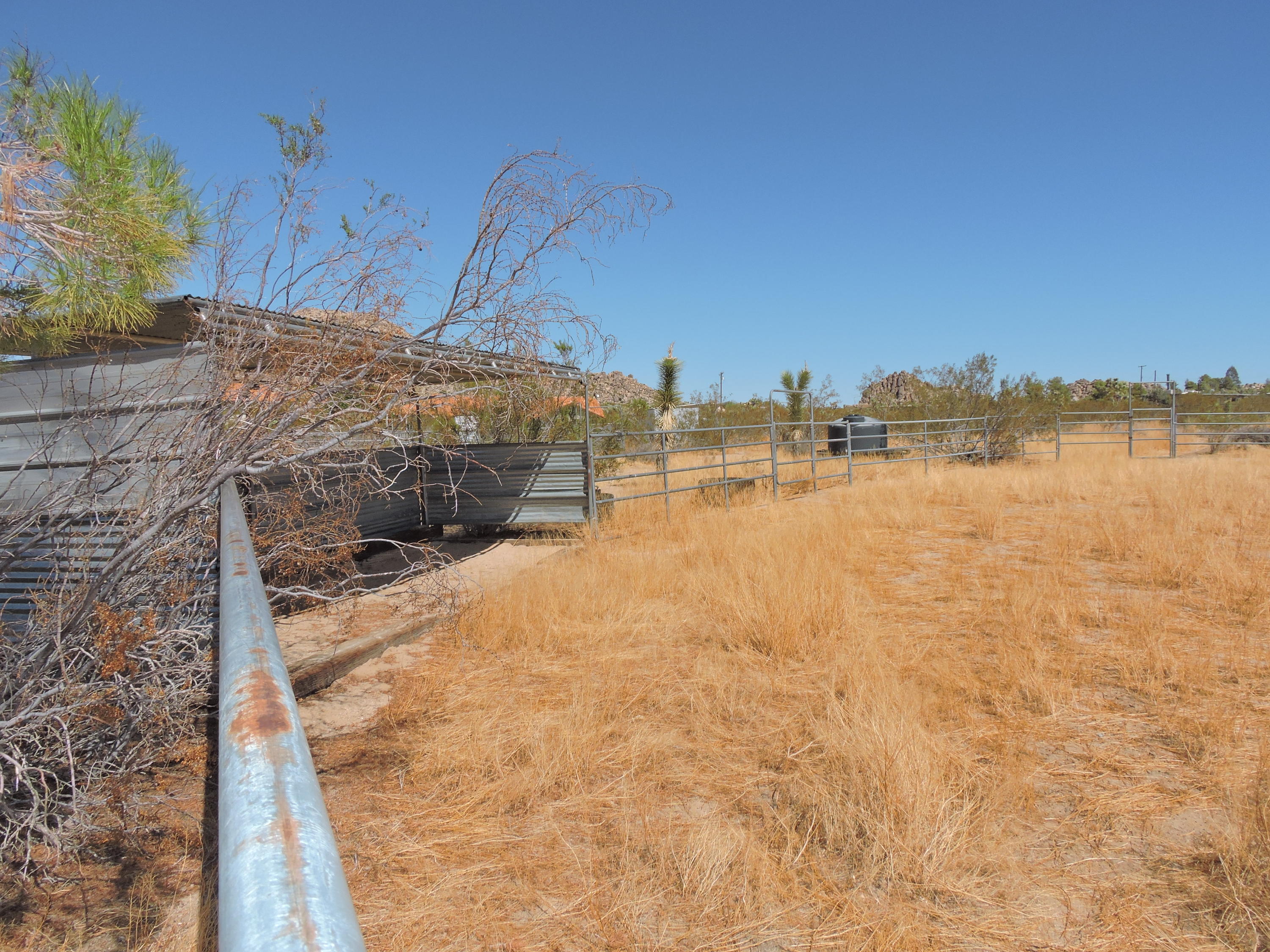 63533 Wagon Wheel Road Joshua Tree, CA 92252 - Photo 45 of 62 a view of a backyard of the house