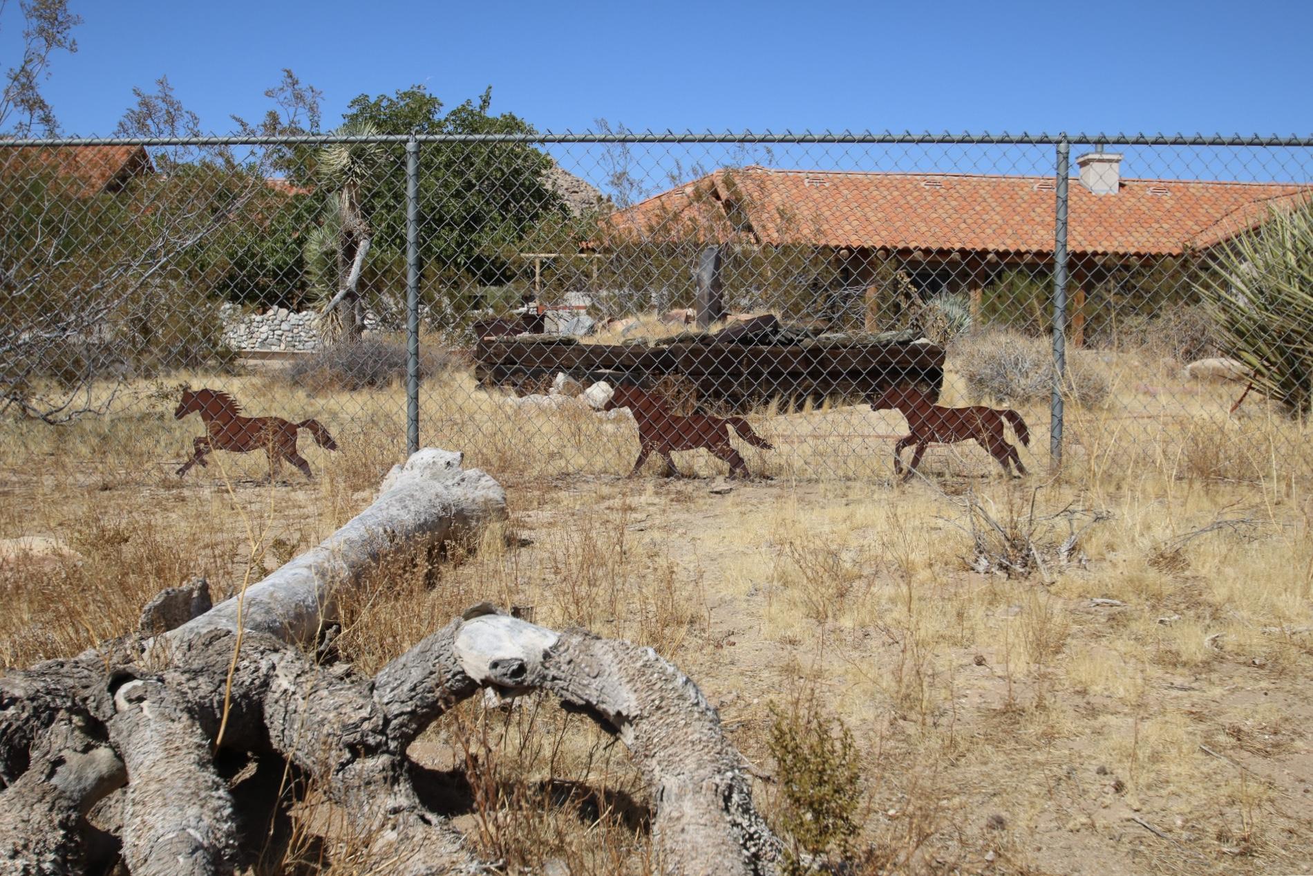 63533 Wagon Wheel Road Joshua Tree, CA 92252 - Photo 48 of 62 IMG_5215