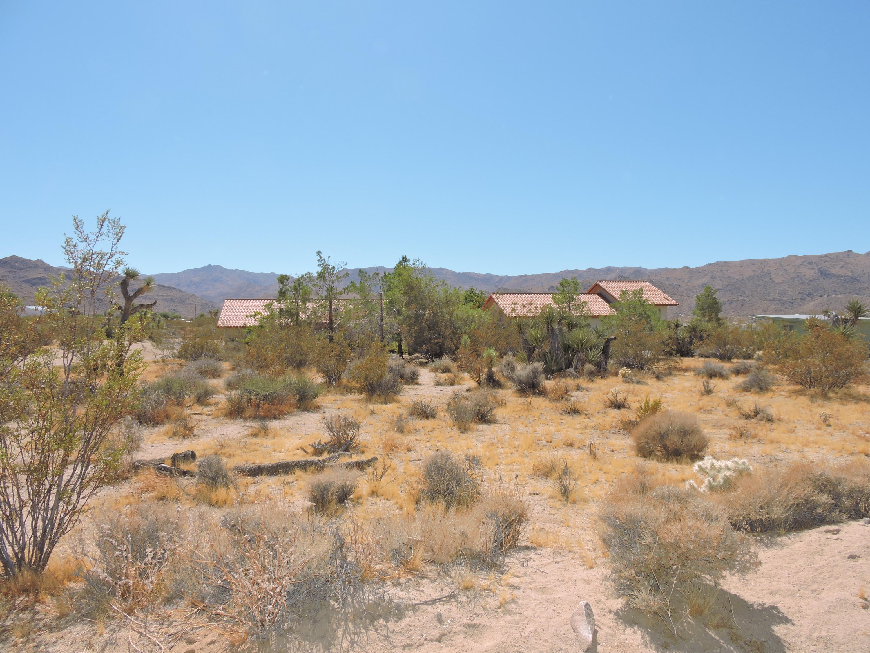 63533 Wagon Wheel Road Joshua Tree, CA 92252 - Photo 60 of 62 a view of a dry yard with mountains in the background