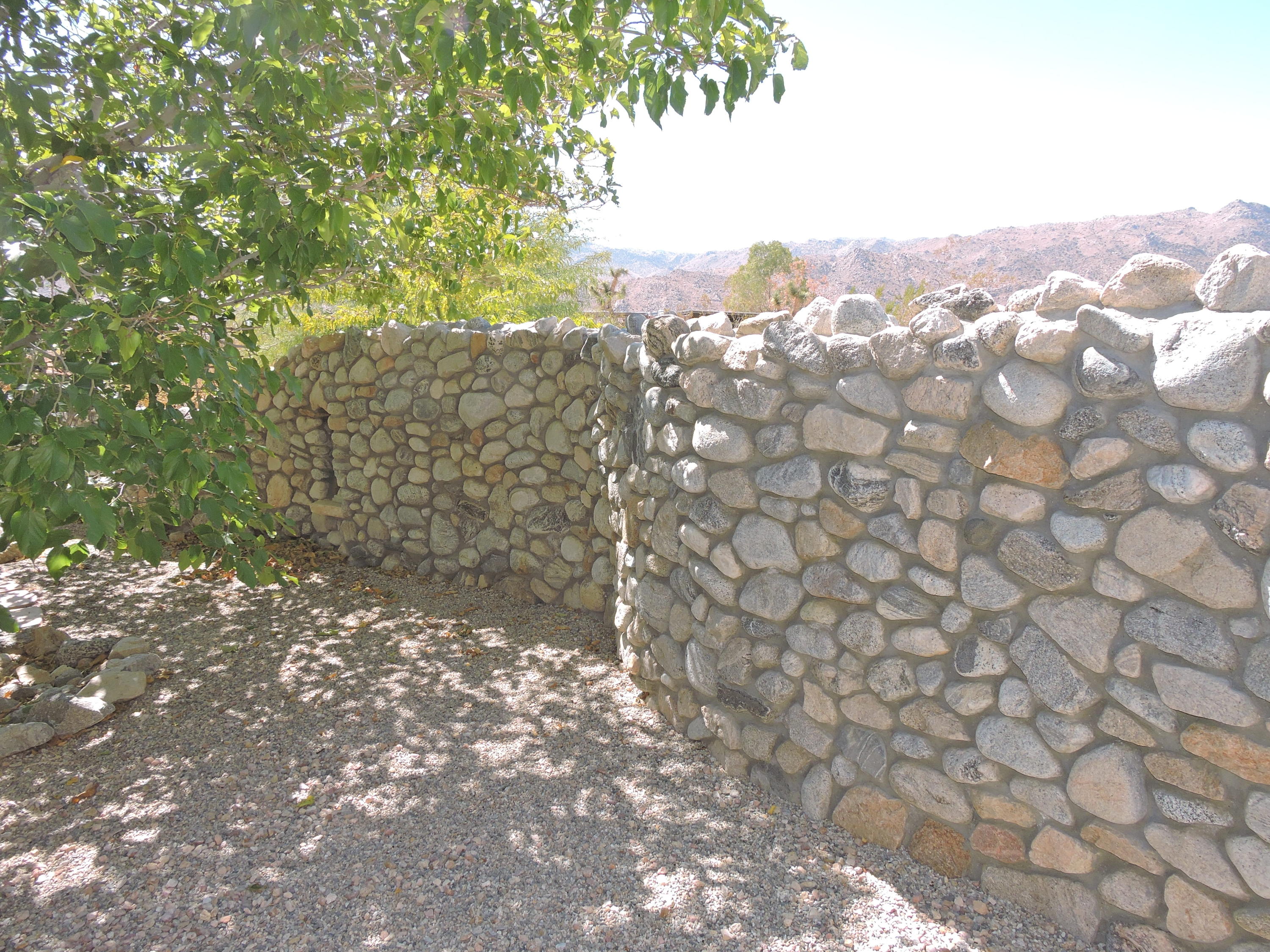 63533 Wagon Wheel Road Joshua Tree, CA 92252 - Photo 8 of 62 a view of a yard
