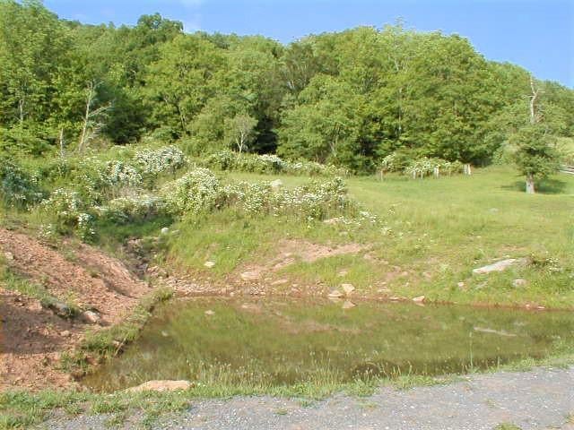 248 Somerset Farm Road Meadow Bridge, WV 25976 - Photo 71 of 98 Gallery Image 71