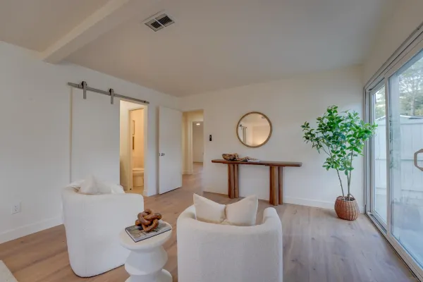 a living room with furniture and a potted plant