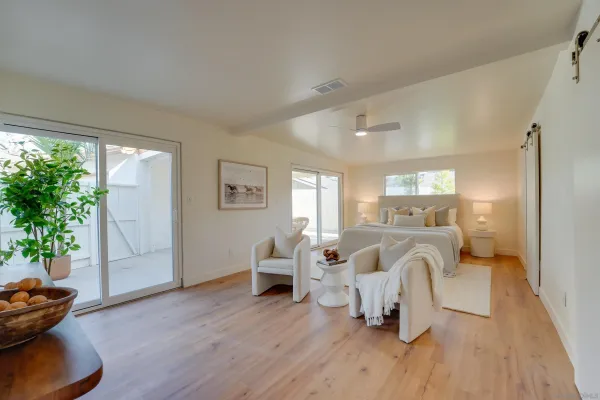 a living room with furniture and a potted plant