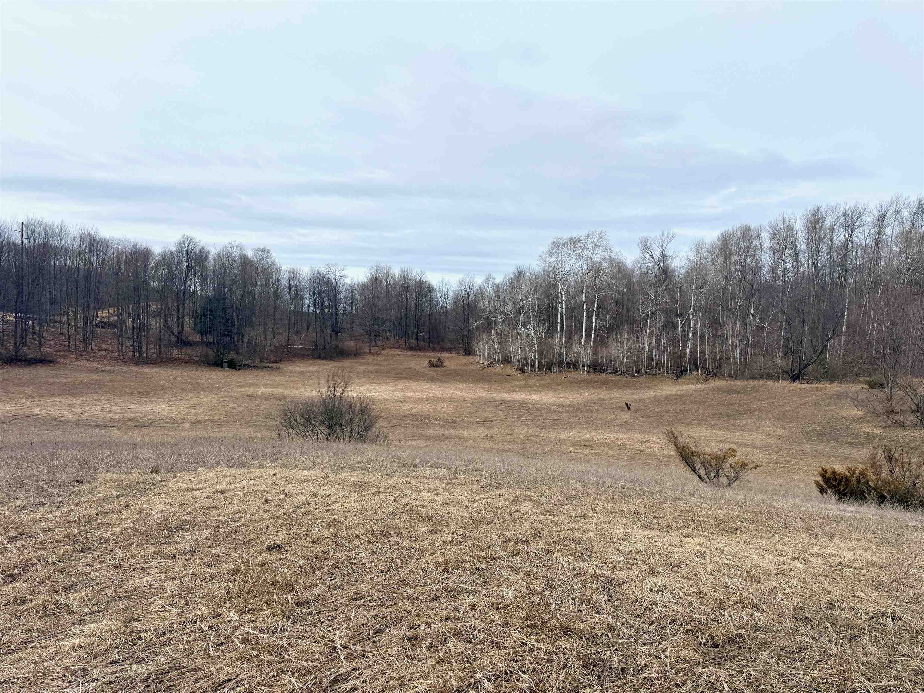 0 West Trumbull Road, Unit LOT A Maple City, MI 49664 - Photo 9 of 25