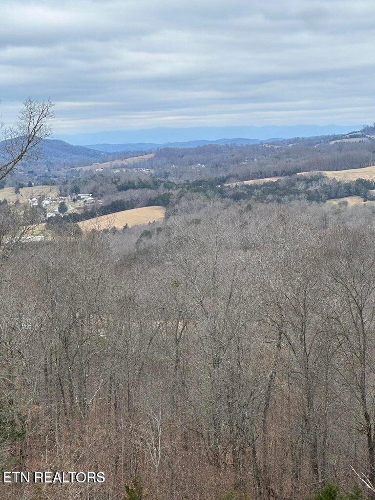 L-265 Marble Point Way New Tazewell, TN 37825 - Photo 4 of 8 7