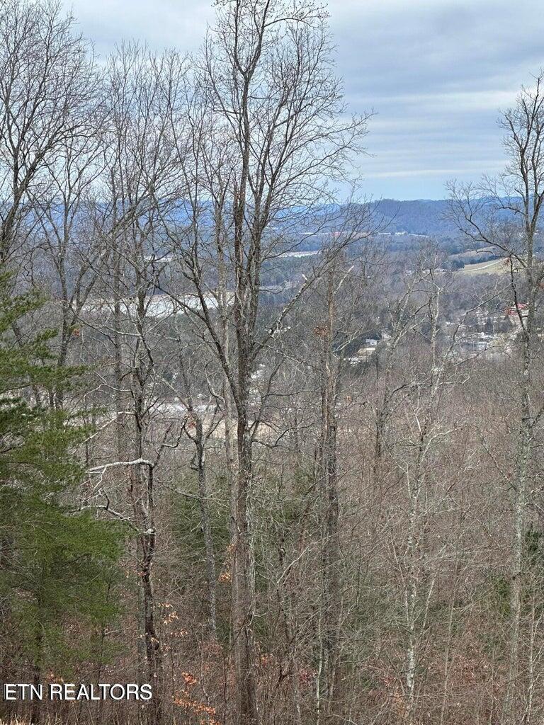 L-265 Marble Point Way New Tazewell, TN 37825 - Photo 5 of 8 6