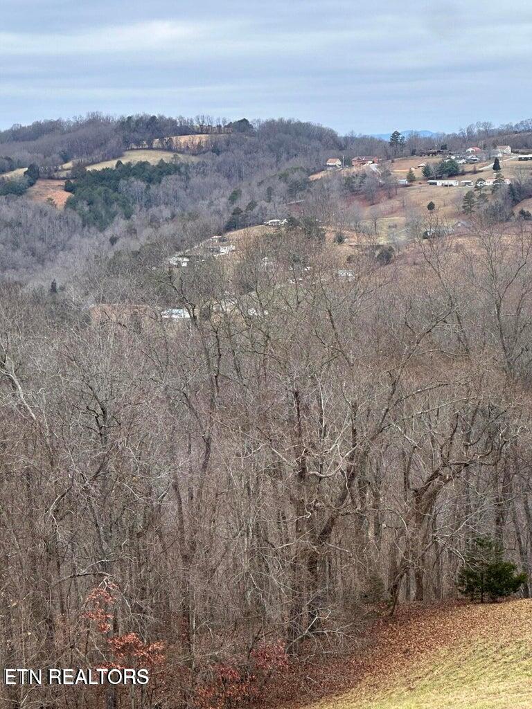L-265 Marble Point Way New Tazewell, TN 37825 - Photo 6 of 8 5