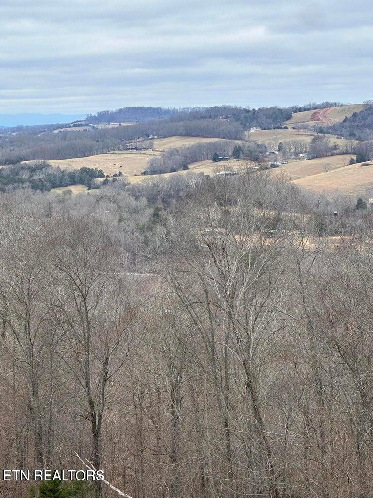 L-265 Marble Point Way New Tazewell, TN 37825 - Photo 8 of 8 3
