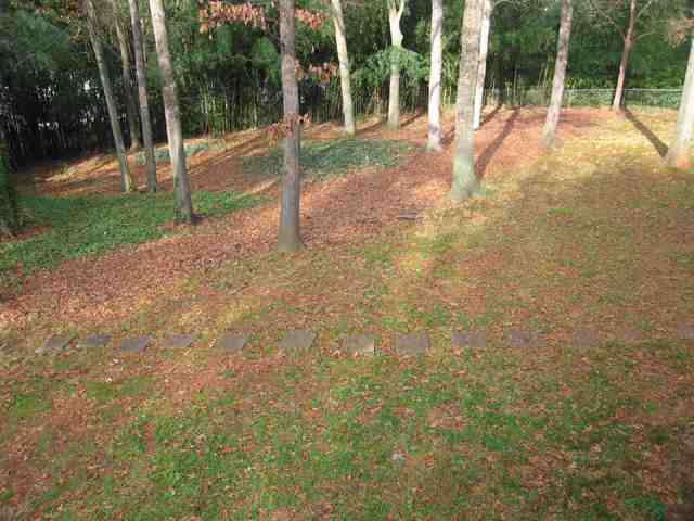 1616 Parkins Mill Road Greenville, SC 29607 - Photo 14 of 16