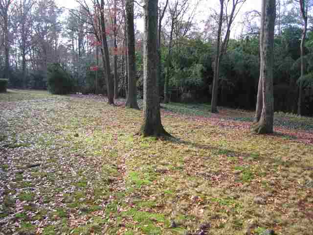1616 Parkins Mill Road Greenville, SC 29607 - Photo 15 of 16