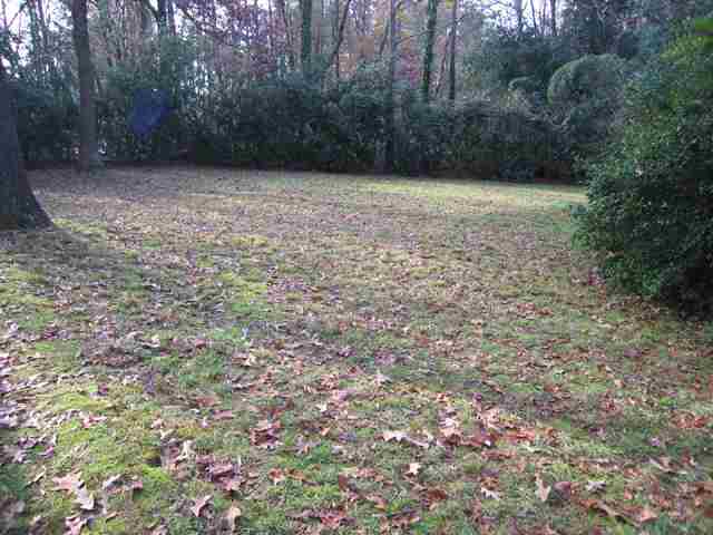 1616 Parkins Mill Road Greenville, SC 29607 - Photo 16 of 16