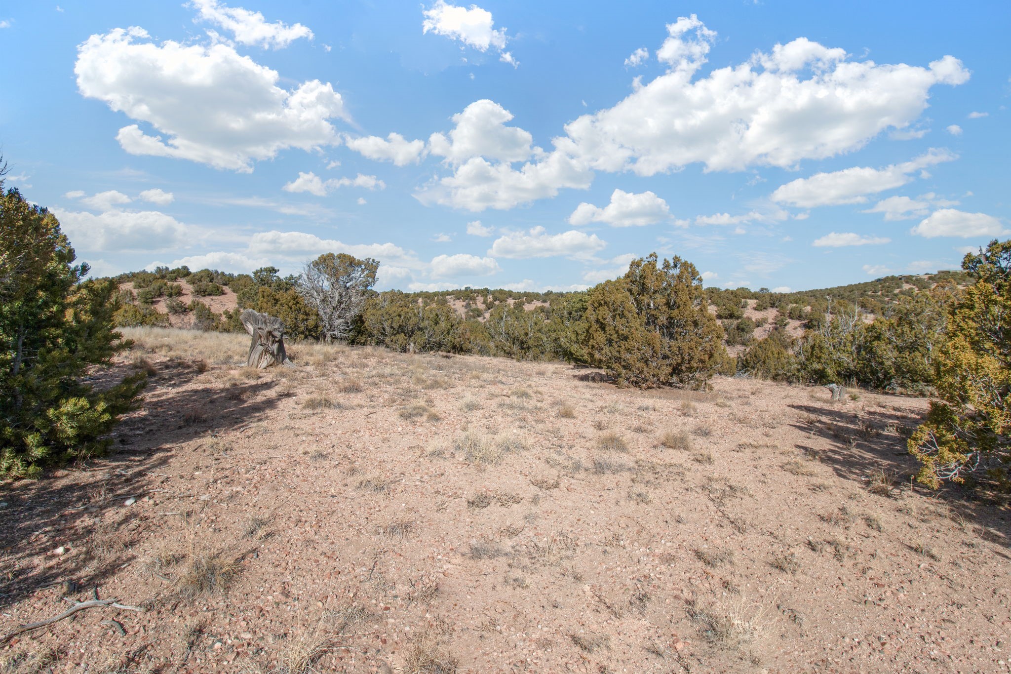 19 Del Charro Road Lamy, NM 87540 - Photo 8 of 15