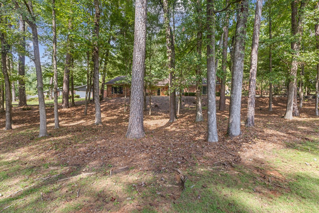 7176 Standing Boy Road Columbus, GA 31904 - Photo 3 of 28 Gallery Image 3