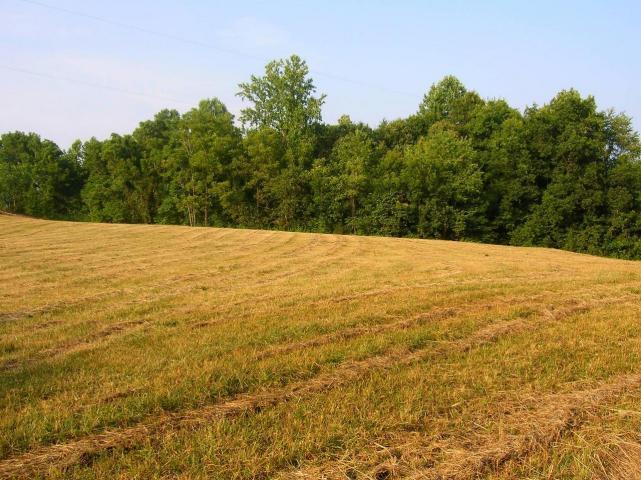 130 Stave Mill Road Rocky Mount, VA 24151 - Photo 7 of 7 a1