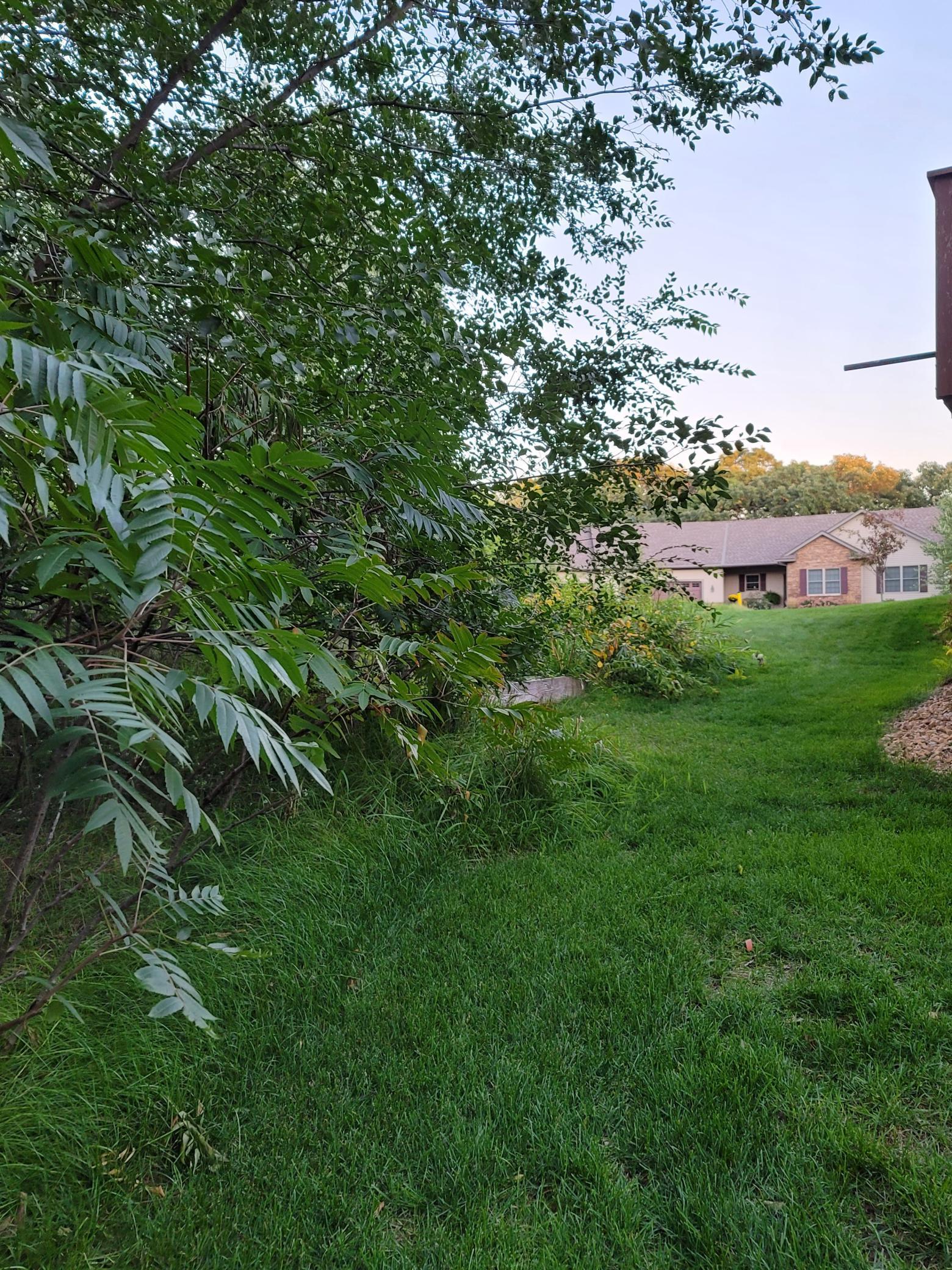 13306 Ivy Street Southeast Becker, MN 55308 - Photo 4 of 7