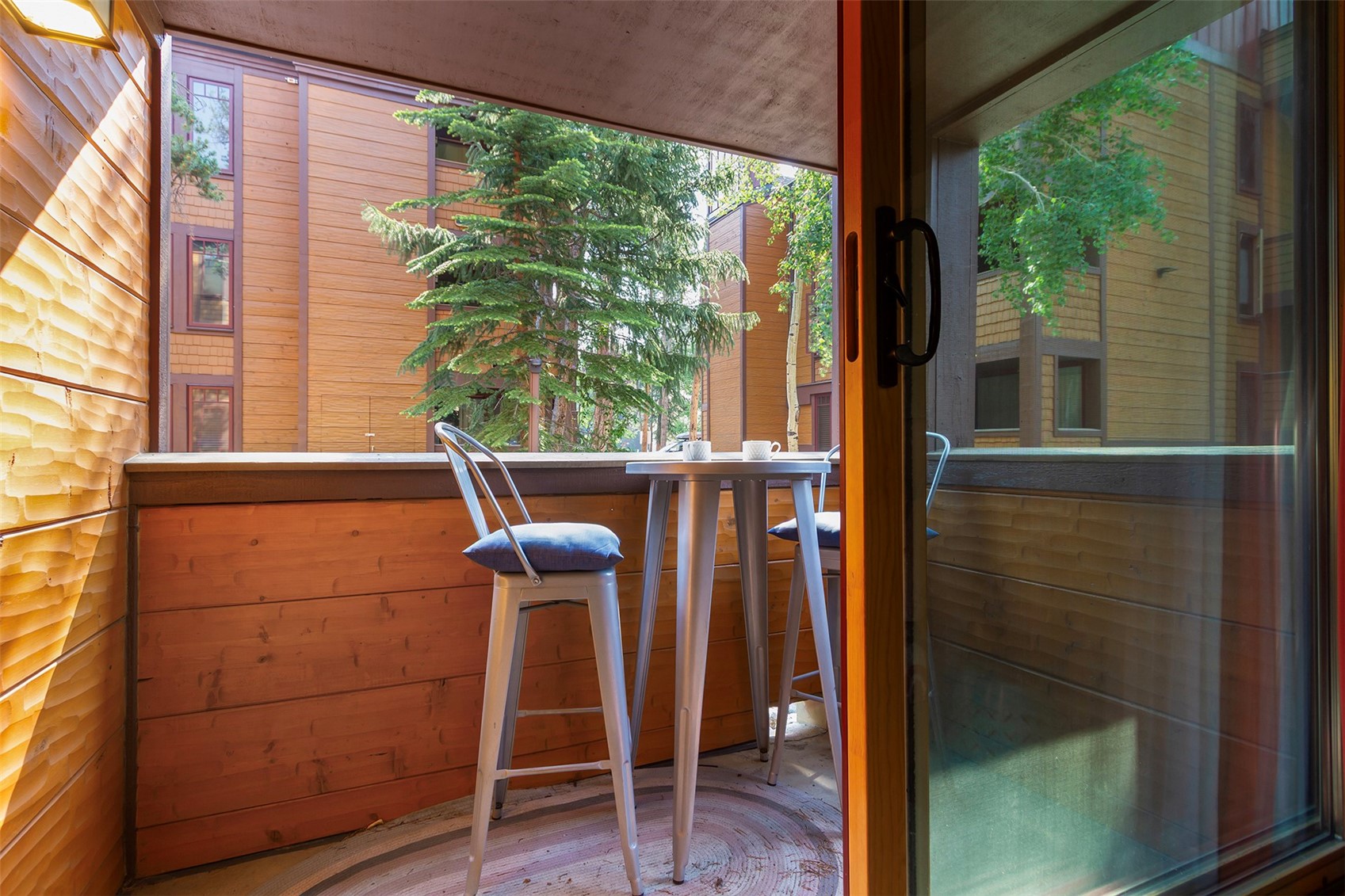 800 Columbine Road, Unit 3 Breckenridge, CO 80424 - Photo 10 of 21