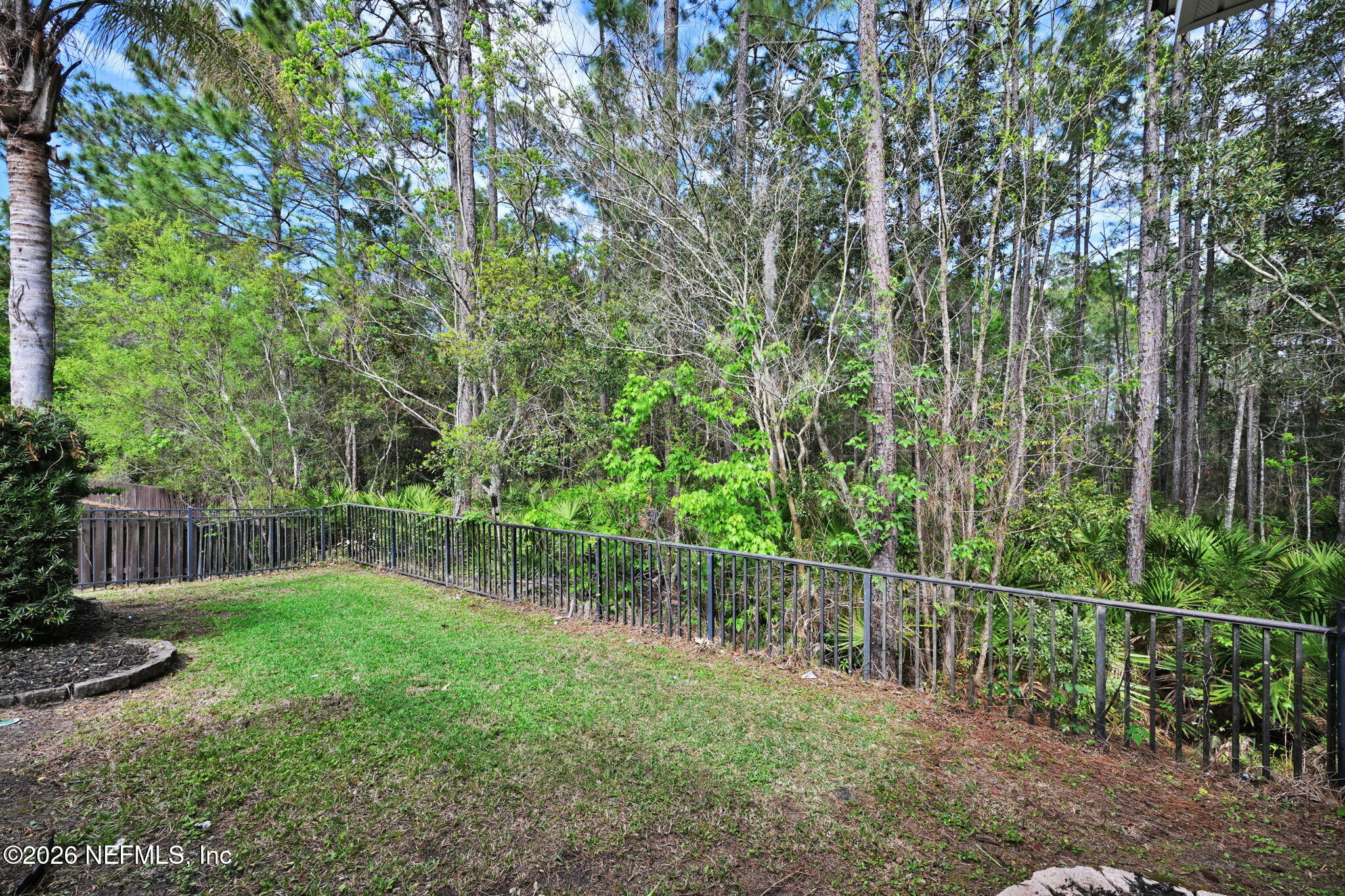 6191 White Tip Road Jacksonville, FL 32258 - Photo 48 of 58 a view of a backyard with a large tree