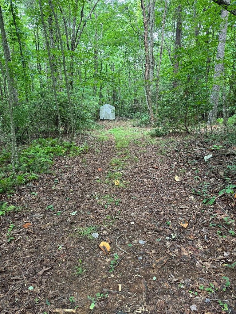 810 Loggy Ridge Road Hillsville, VA 24343 - Photo 21 of 41 Gallery Image 21