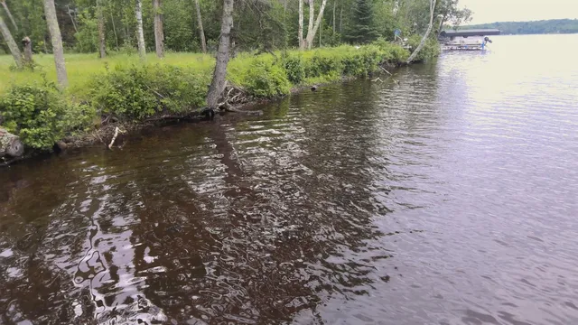 $310,000 | Tbd South Shore Drive, Emily, MN 56447