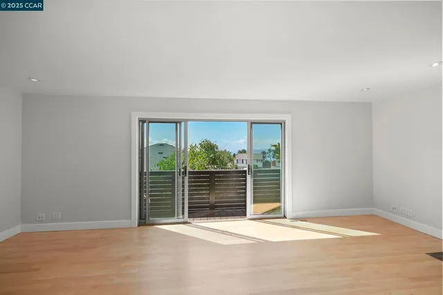 a view of a big yard with potted plants and large tree