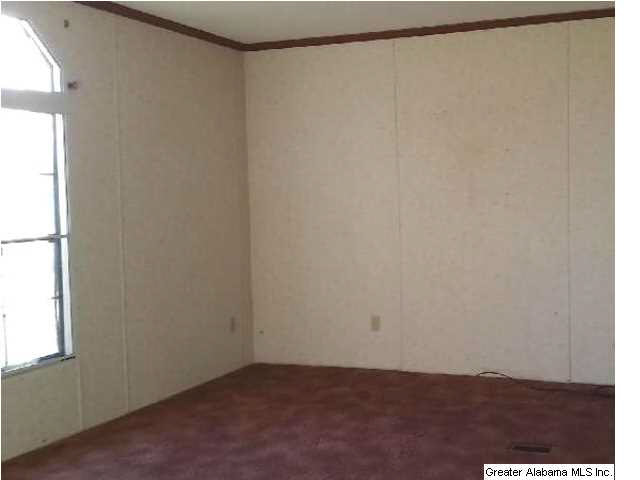 675 Buddy Vines Camp Road Bessemer, AL 35023 - Photo 4 of 11