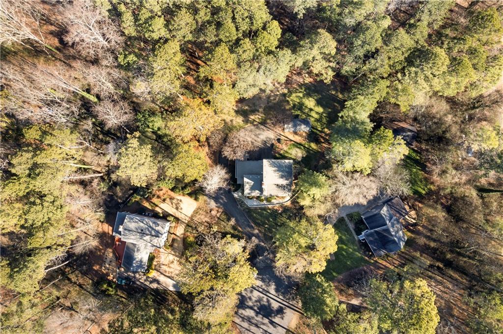 31 Coventry Drive Southeast Rome, GA 30161 - Photo 51 of 57 a picture of tree