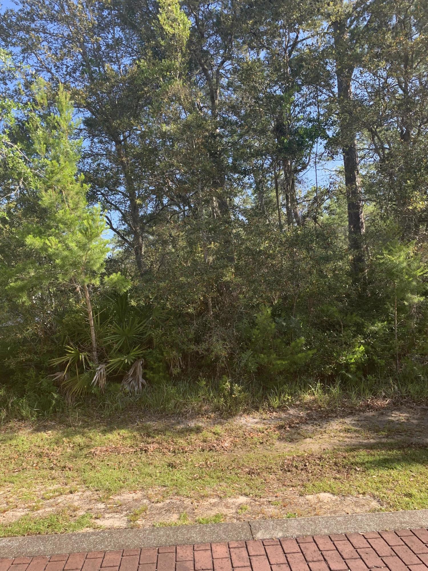 Lot 2 Riker Ave Point Santa Rosa Beach, FL 32459 - Photo 2 of 3 IMG_0467