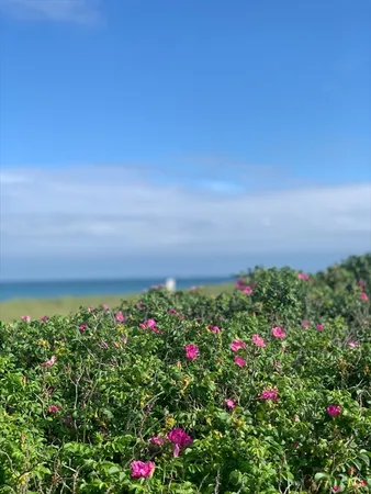 $18,500 | 28 Morey Lane, Nantucket, MA 02554