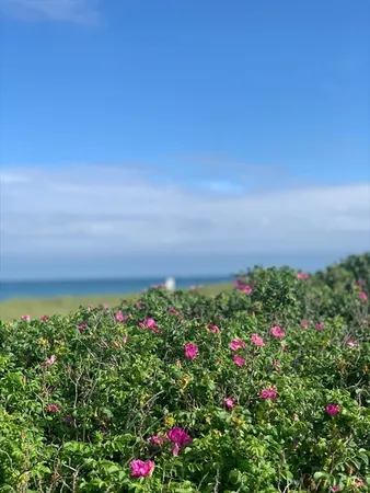 $18,500 | 28 Morey Lane, Nantucket, MA 02554