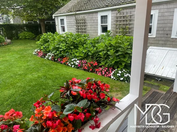 a view of a potted flower in a yard with swimming pool
