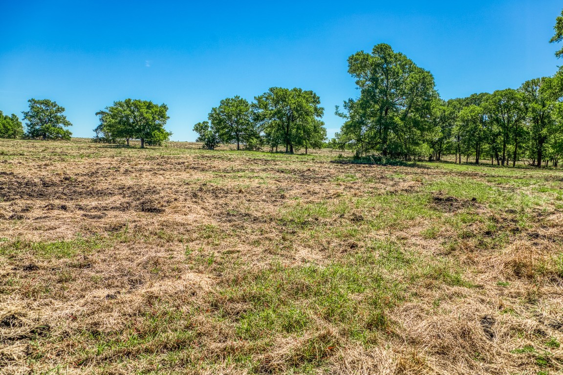 7108 Boehnemann Road Brenham, TX 77833 - Photo 15 of 26