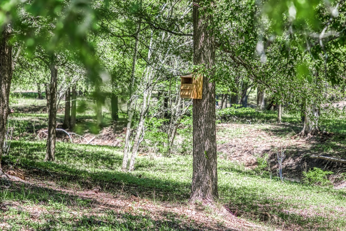 7108 Boehnemann Road Brenham, TX 77833 - Photo 18 of 26 Barn owl box