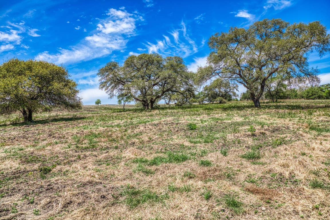 7108 Boehnemann Road Brenham, TX 77833 - Photo 19 of 26