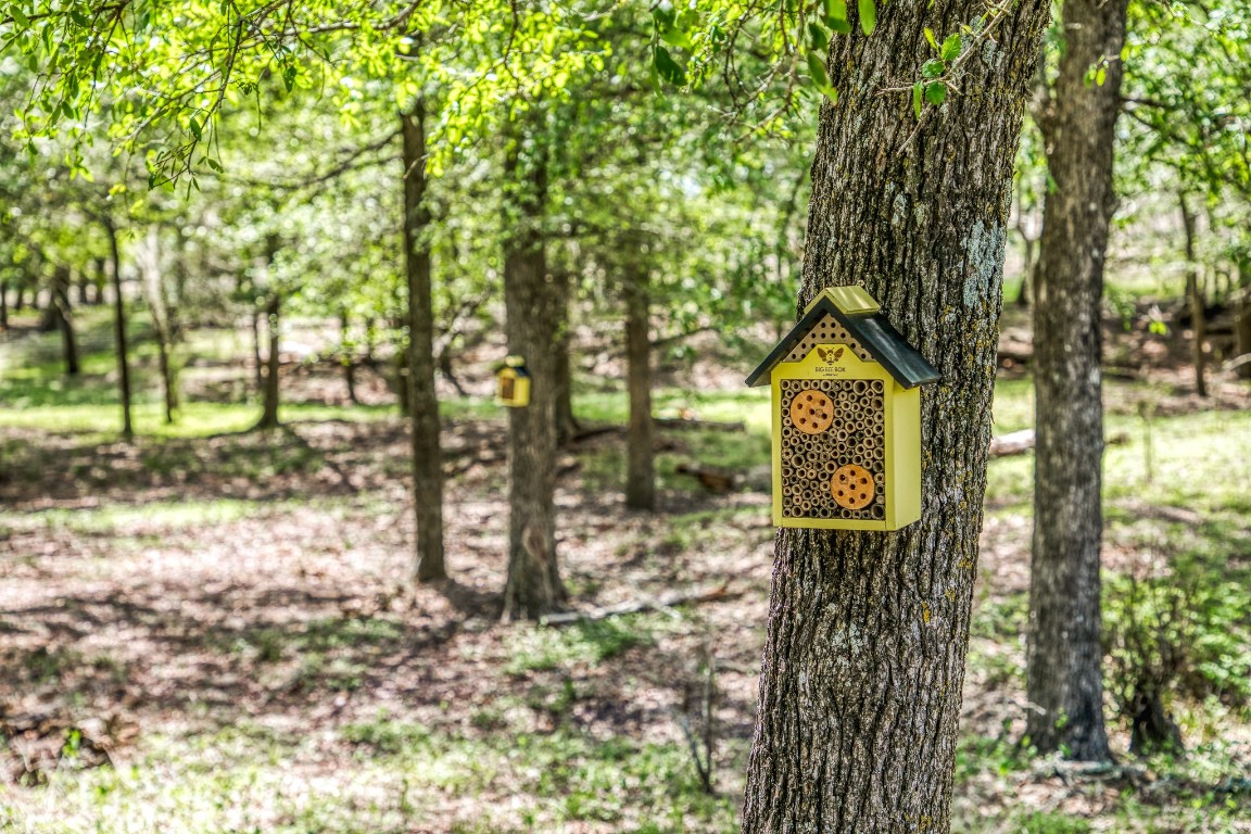 7108 Boehnemann Road Brenham, TX 77833 - Photo 20 of 26 Bee hive house